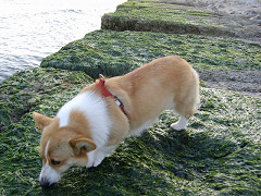 Resize of SANY1012_thumb.jpg